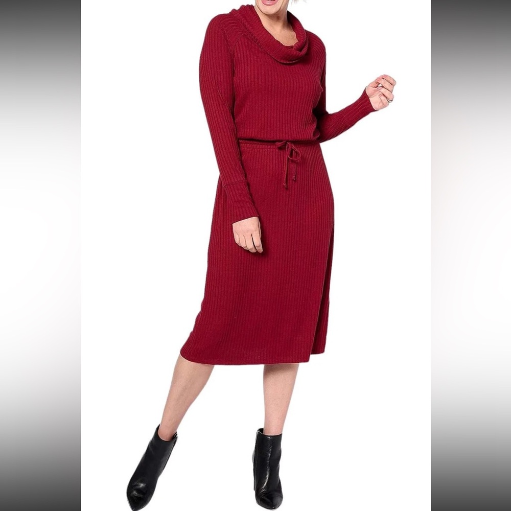 AnyBody Rib Knit Cowl-Neck Garnet Dress - Size XS with stretch